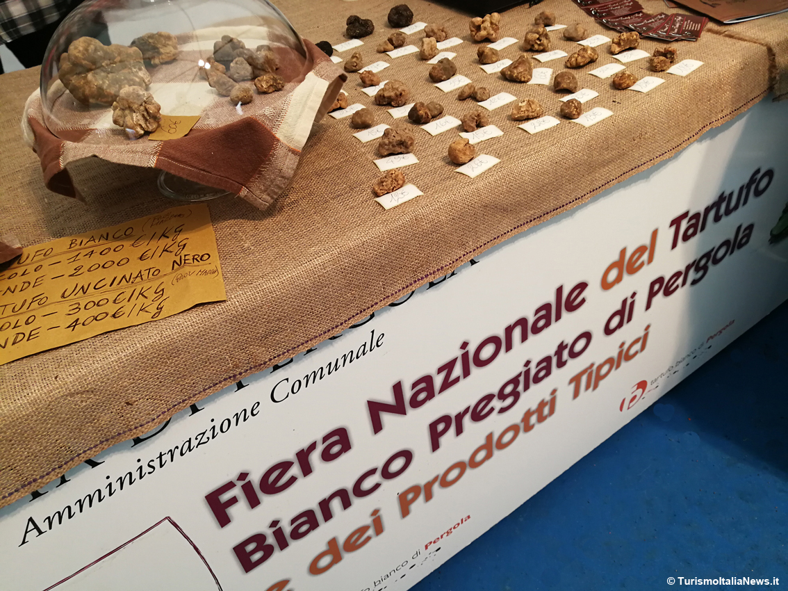 images/stories/varie_2022/Pergola_BitMilano_05.jpg