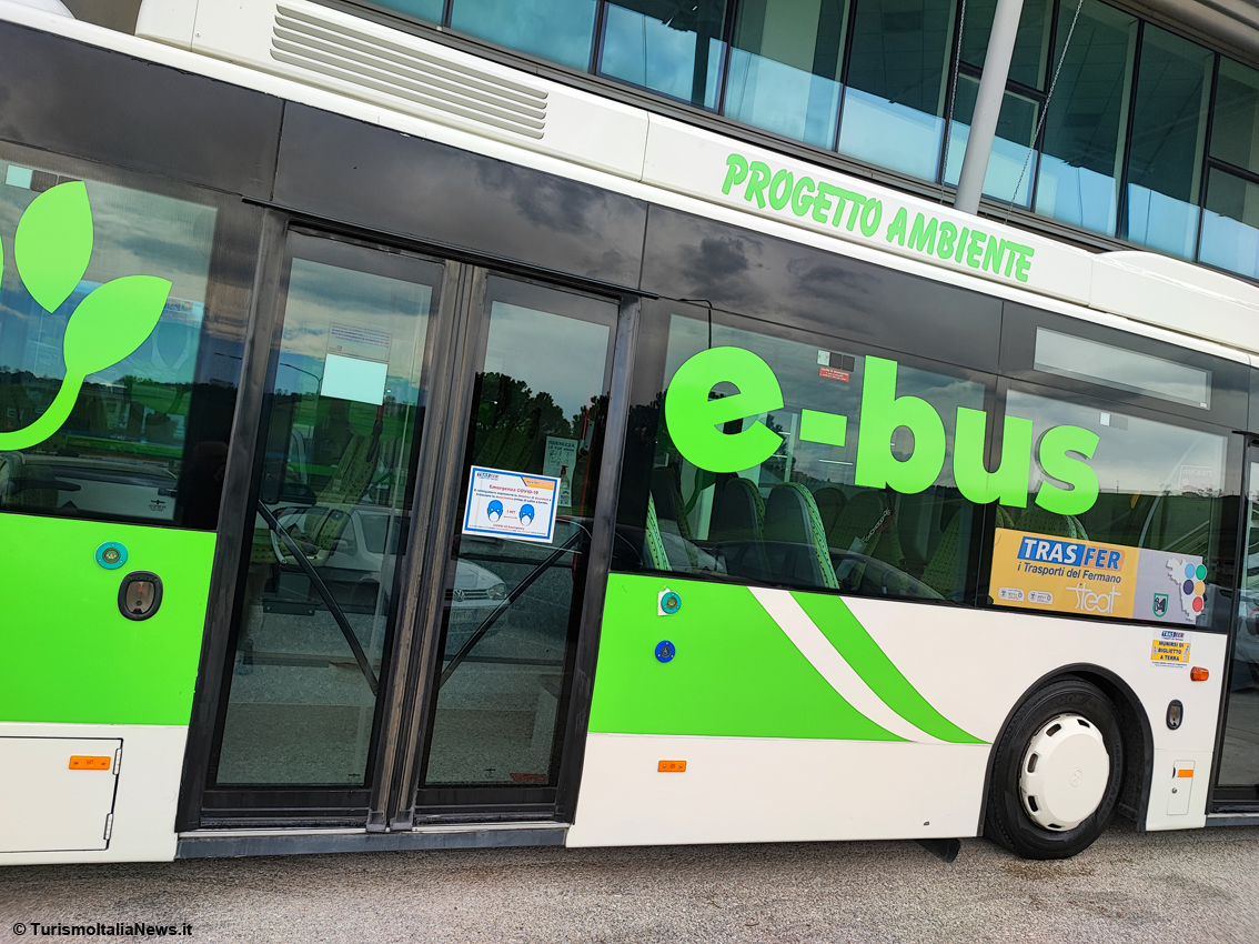 Un bosco alleato del trasporto pubblico per aiutare l’ambiente: nelle Marche l’esempio della società Steat per il credito di carbonio