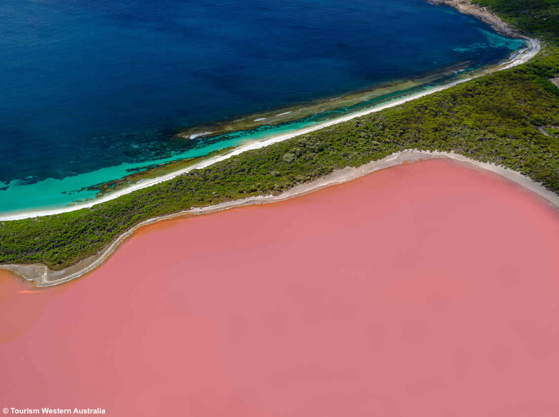 Rosa come... un lago: gli spettacolari laghi rosa del Western Australia 