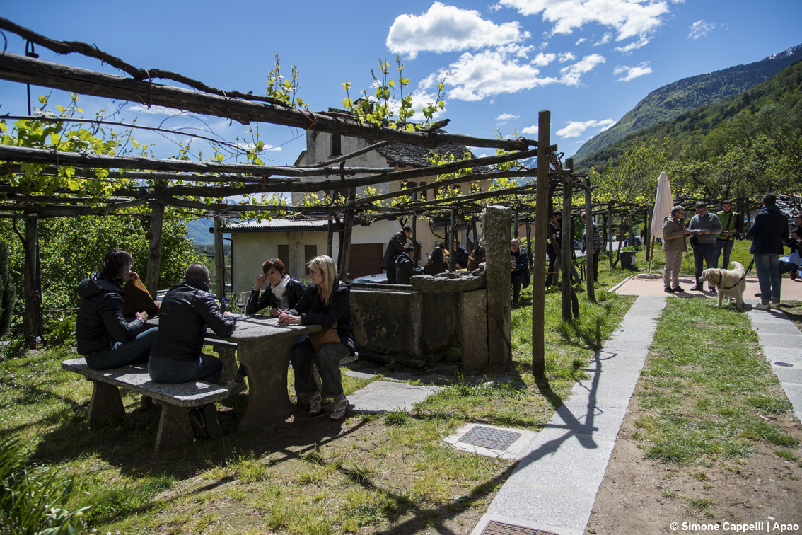 I vigneti eroici nelle Alpi piemontesi: con “Ossola in Cantina” sette tappe per scoprire l’anima vitivinicola della Val d'Ossola