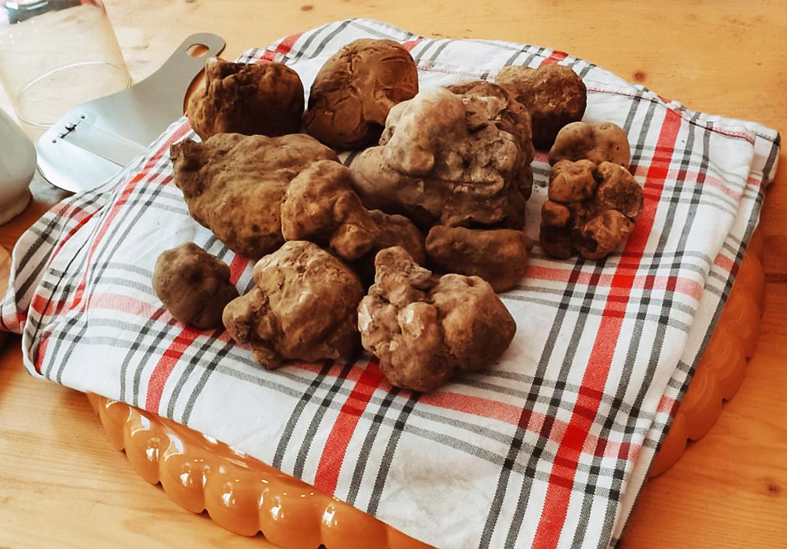 images/stories/varie_2023/Pergola_FieraDelTartufo_01.jpg