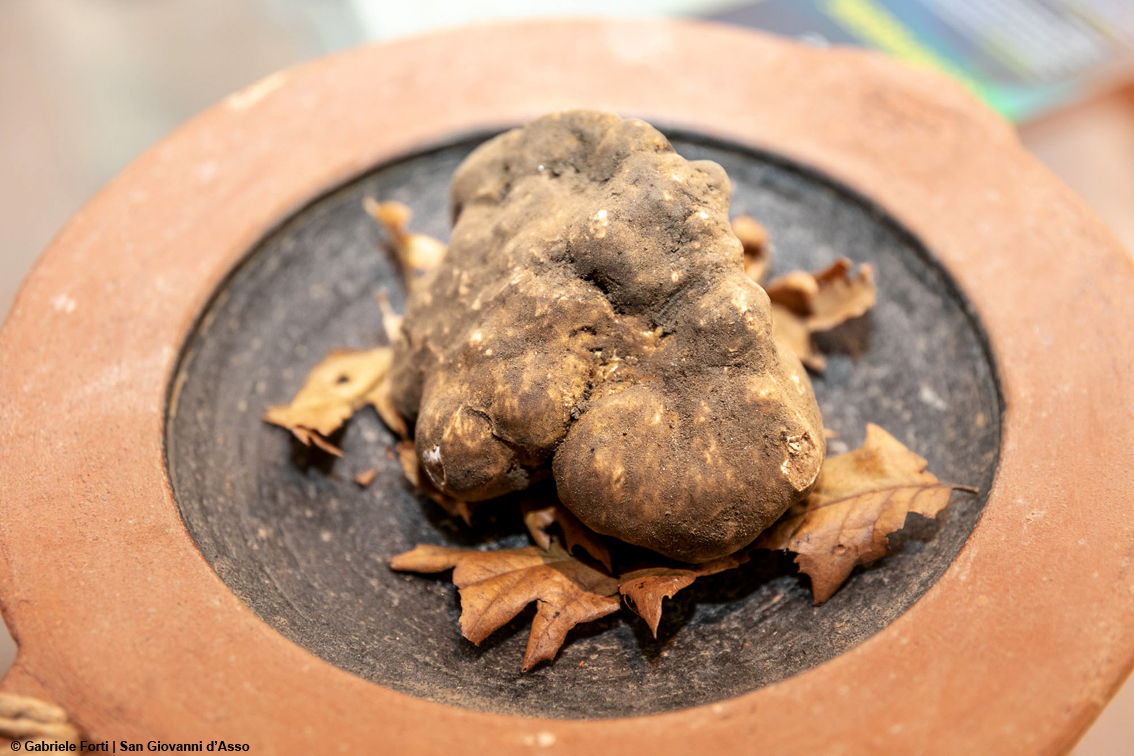 images/stories/varie_2023/SanGiovanniDAsso_Tartufo_01.jpg