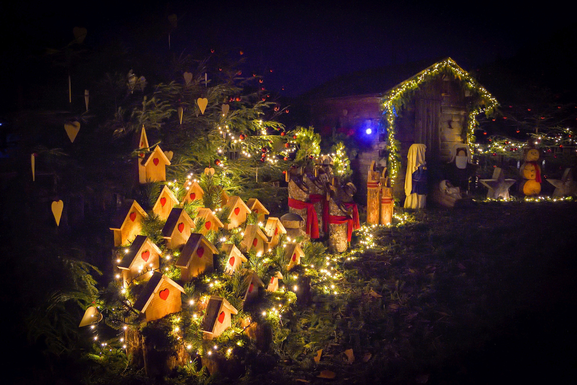 images/stories/varie_2023/Sutrio_BorghiPresepi_01.jpg