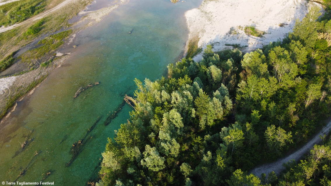 Il Tagliamento nella zona di Morsano