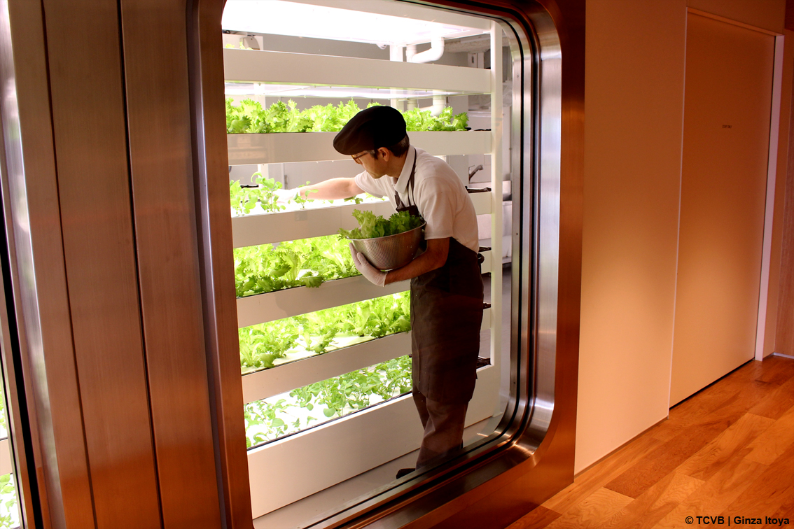 Grande attesa per SusHi Tech Tokyo 2024, nella capitale del Sol Levante una coltivazione idroponica per produrre insalate