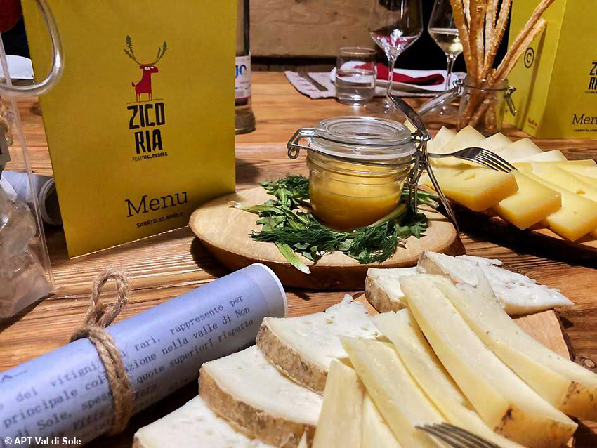 Tarassaco, toccasana per pelle e anima: lo Zicoria FestiVal di Sole aiuta a scoprirne le virtù segrete