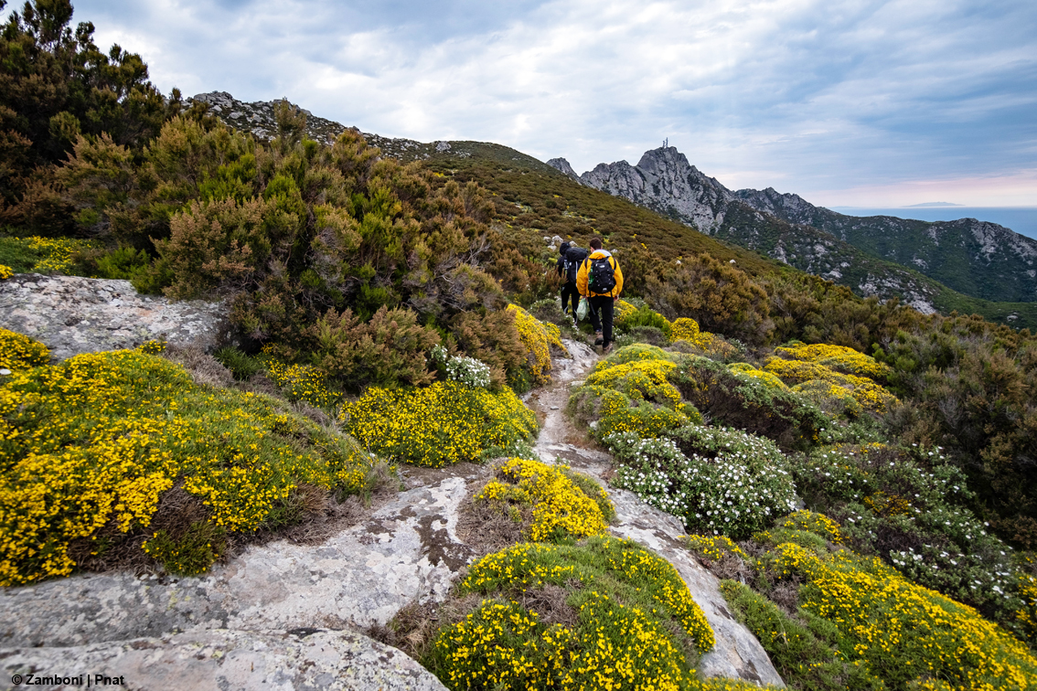images/stories/varie_2023/WalkingFestivalElba_Pnat.jpg