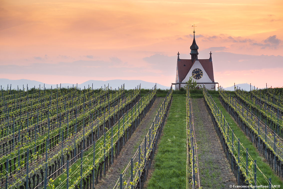 images/stories/varie_2024/GermaniaRegioniVitivinicole_BadenWurttemberg_Kaiserstuhl.jpg