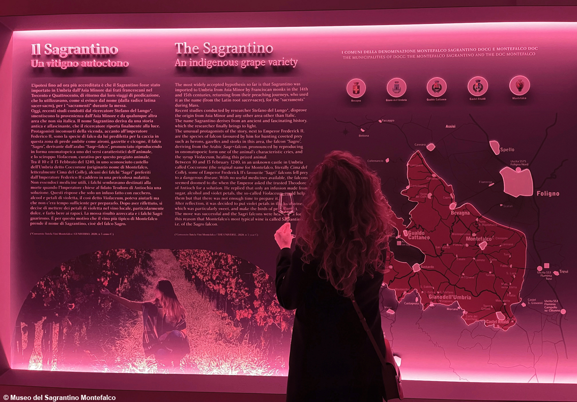images/stories/varie_2024/Montefalco_MuseoSagrantino_01.jpg
