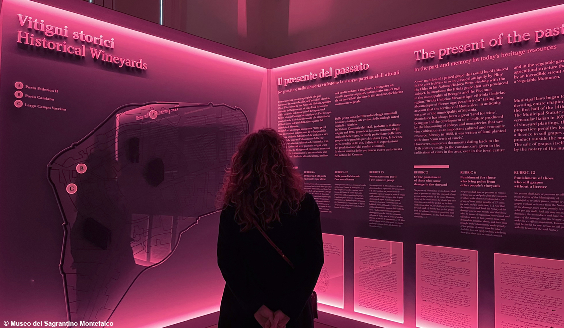 Montefalco, nasce il Museo del Sagrantino: un'esperienza visiva e sensoriale all’insegna del vino Docg