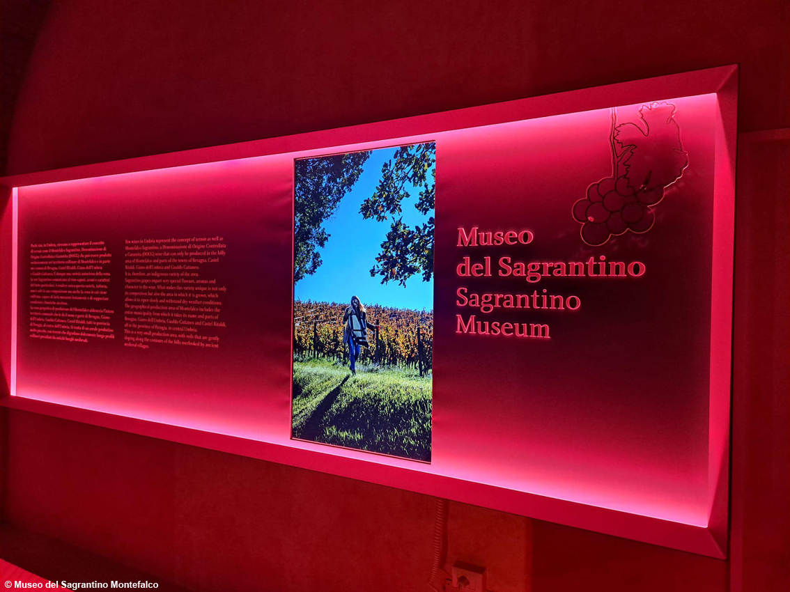 Montefalco, nasce il Museo del Sagrantino: un'esperienza visiva e sensoriale all’insegna del vino Docg