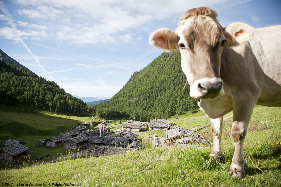 SpeckAperitivo, l’evento gustoso per celebrare i sapori tipici dell'Alto Adige, tra i rifugi e i comprensori sciistici