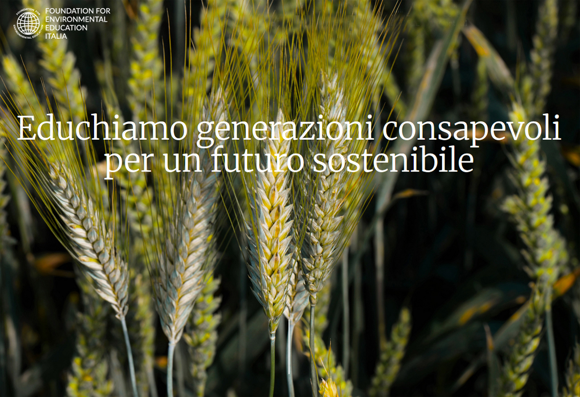 images/stories/varie_2025/SpigheVerdi.jpg