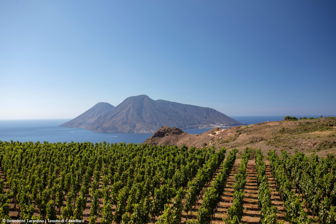 images/stories/varie_2026/CastellaroTenuta_01.jpg