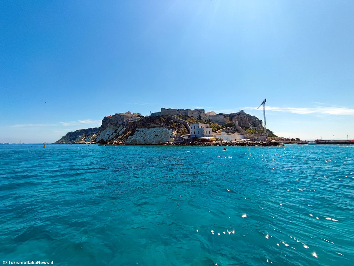 Tremiti, il piccolo arcipelago che custodisce i segreti dell’Adriatico: le Diomedee sfoderano un patrimonio straordinario