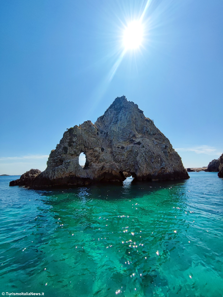 Tremiti, il piccolo arcipelago che custodisce i segreti dell’Adriatico: le Diomedee sfoderano un patrimonio straordinario