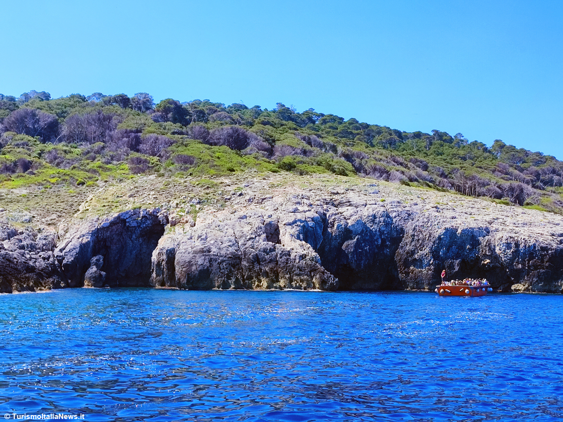 Tremiti, il piccolo arcipelago che custodisce i segreti dell’Adriatico: le Diomedee sfoderano un patrimonio straordinario