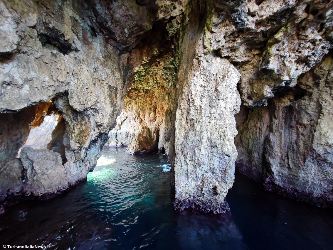 Tremiti, il piccolo arcipelago che custodisce i segreti dell’Adriatico: le Diomedee sfoderano un patrimonio straordinario