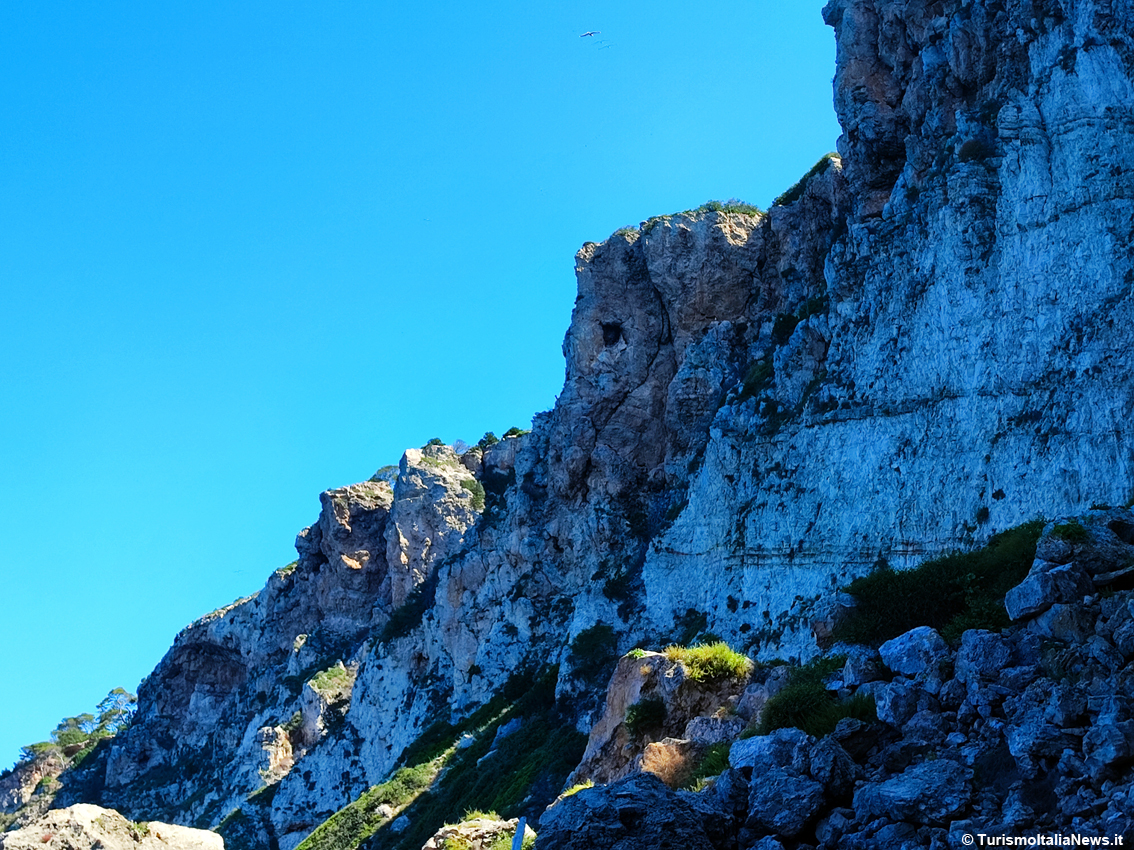 Tremiti, il piccolo arcipelago che custodisce i segreti dell’Adriatico: le Diomedee sfoderano un patrimonio straordinario