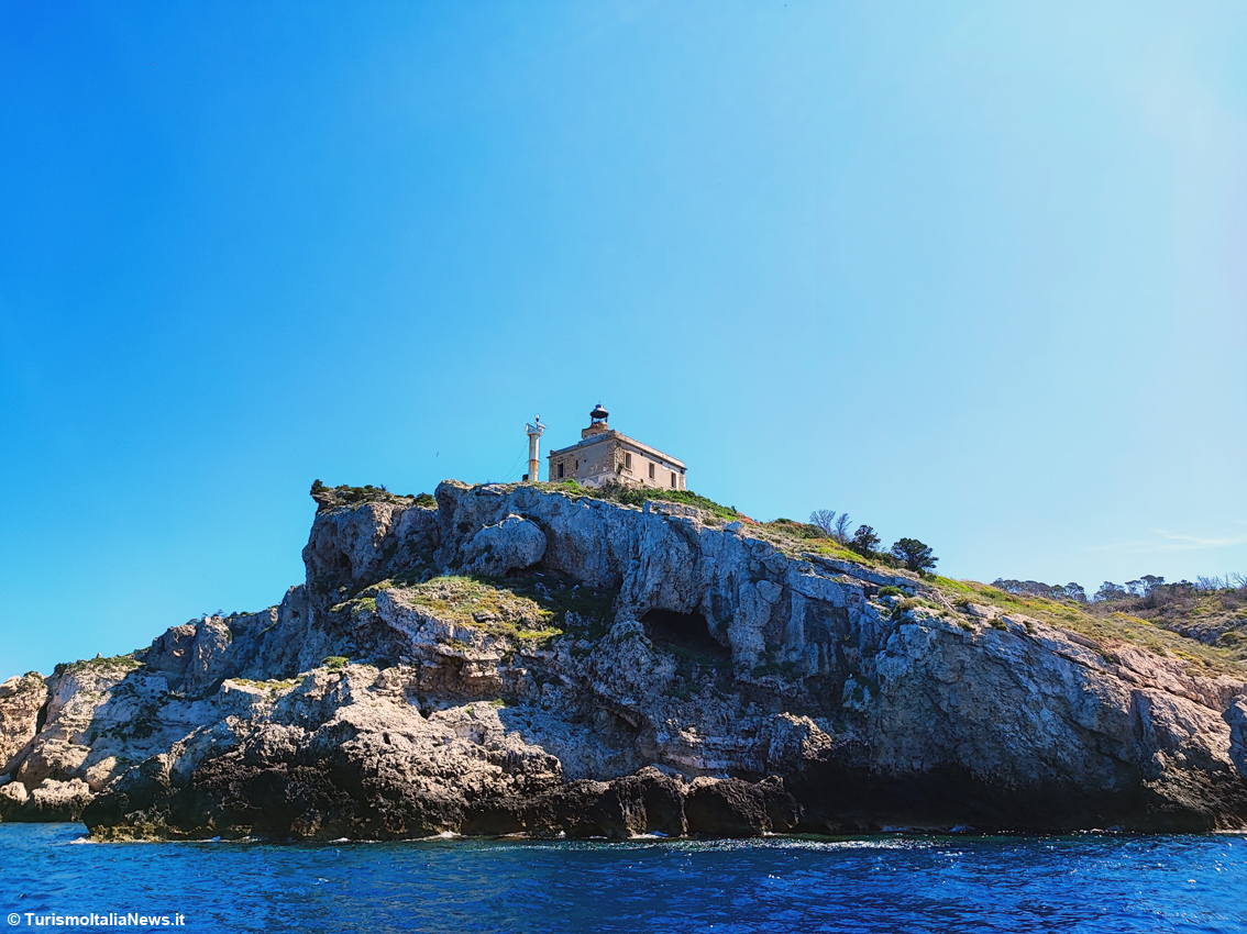 Tremiti, il piccolo arcipelago che custodisce i segreti dell’Adriatico: le Diomedee sfoderano un patrimonio straordinario