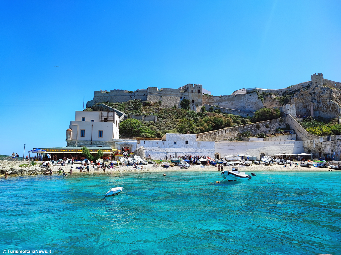 Tremiti, il piccolo arcipelago che custodisce i segreti dell’Adriatico: le Diomedee sfoderano un patrimonio straordinario