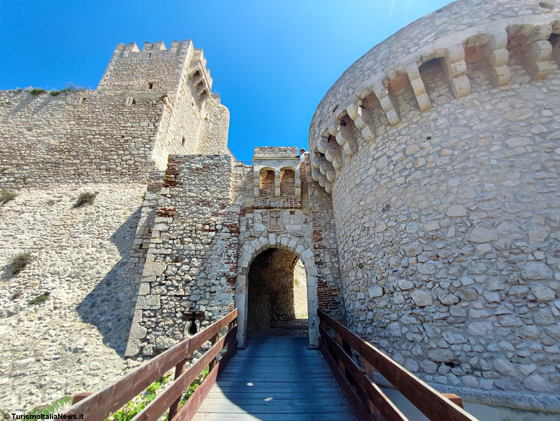 Tremiti, il piccolo arcipelago che custodisce i segreti dell’Adriatico: le Diomedee sfoderano un patrimonio straordinario