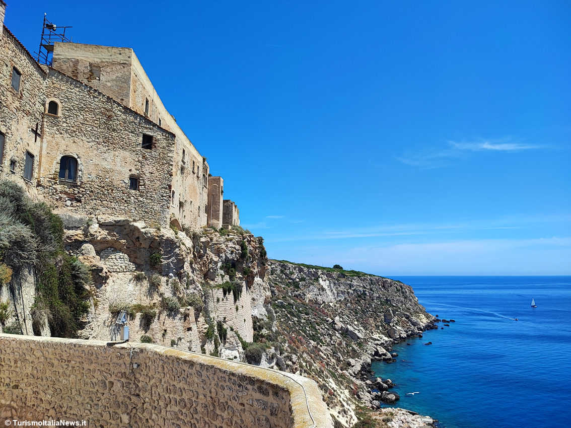 Tremiti, il piccolo arcipelago che custodisce i segreti dell’Adriatico: le Diomedee sfoderano un patrimonio straordinario