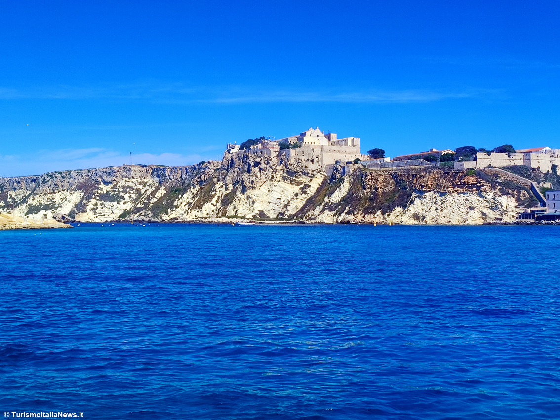 Tremiti, il piccolo arcipelago che custodisce i segreti dell’Adriatico: le Diomedee sfoderano un patrimonio straordinario