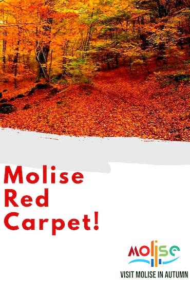 Molise Red Carpet