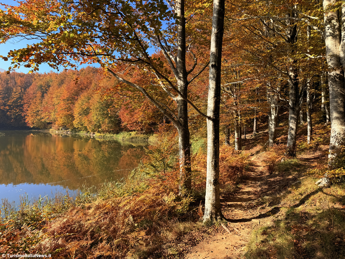 Viaggi d'autunno: il foliage in Giappone o in Nord America, lo spettacolo della Natura