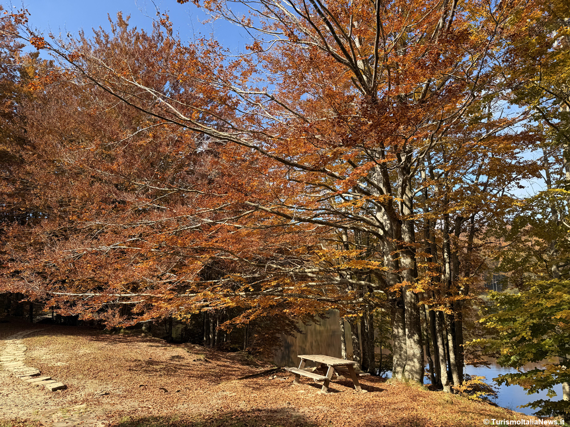 Autunno in Austria: atmosfere oniriche tra Tirolo e Carinzia in luoghi immersi in paesaggi alpini