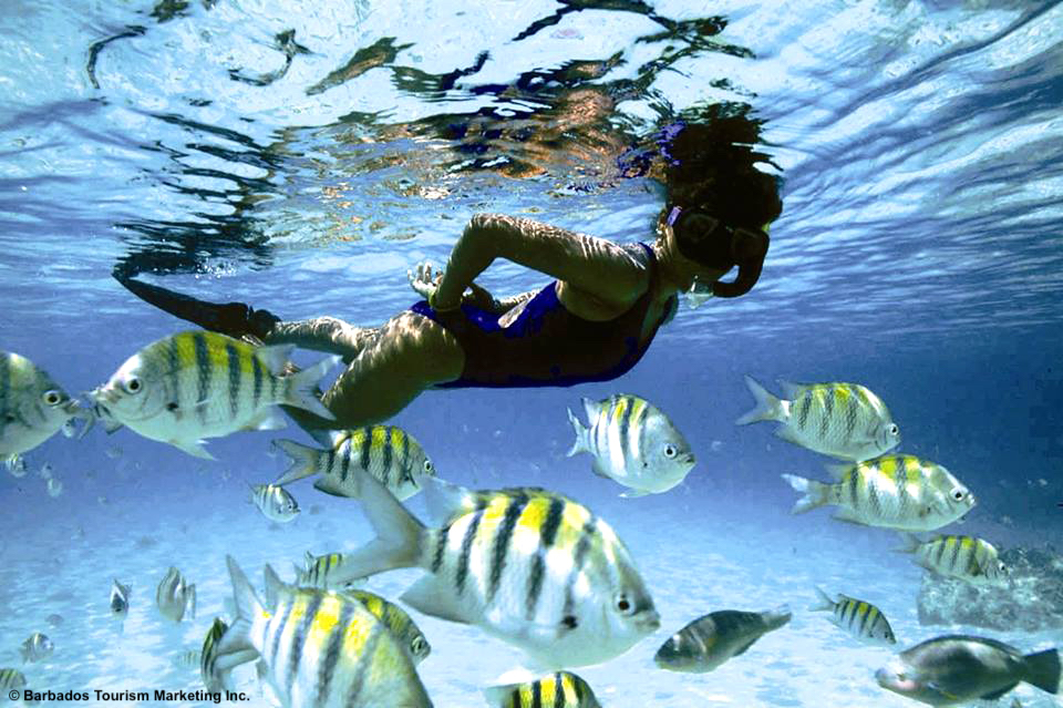 Barbados Beach Therapy: 7 step per combattere lo stress e i malanni di stagione, molto di più di una semplice vacanza