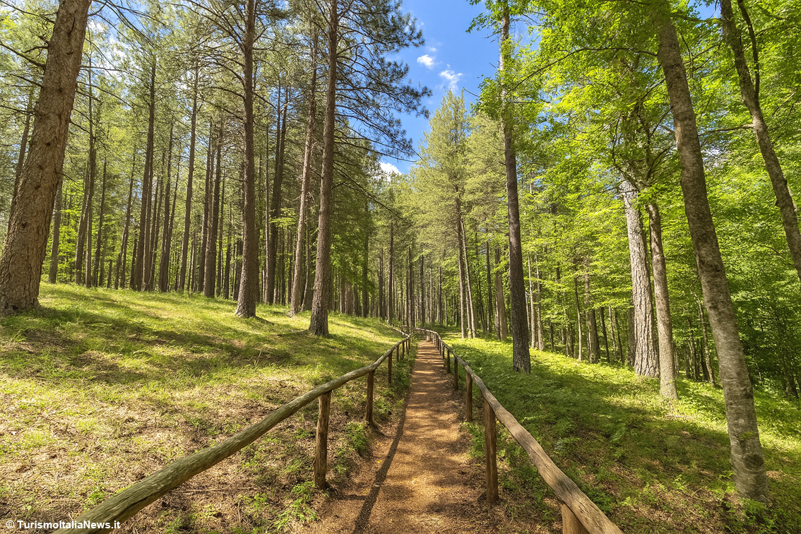 “Sentiero Calabria”: tutta la regione, a piedi, in un unico cammino inoltrandosi nei tre parchi Aspromonte, Sila e Pollino