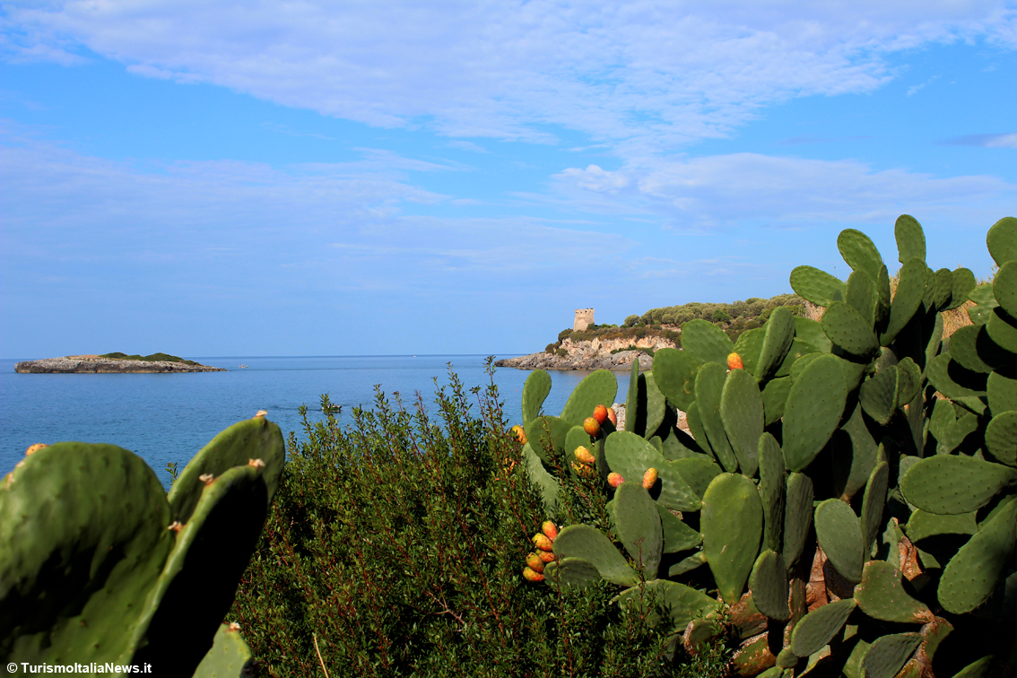 Tra natura e mito, la Costa degli Infreschi nel Parco del Cilento: bellezza fra terra, mare e cielo