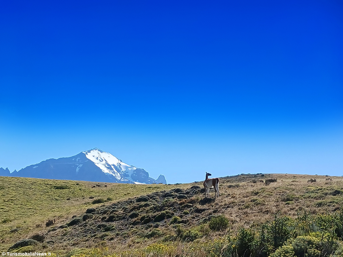 Parco Nazionale Torres del Paine, il bello del Cile è nella provincia di Última Esperanza, regione di Magellano e Antartide Cilena