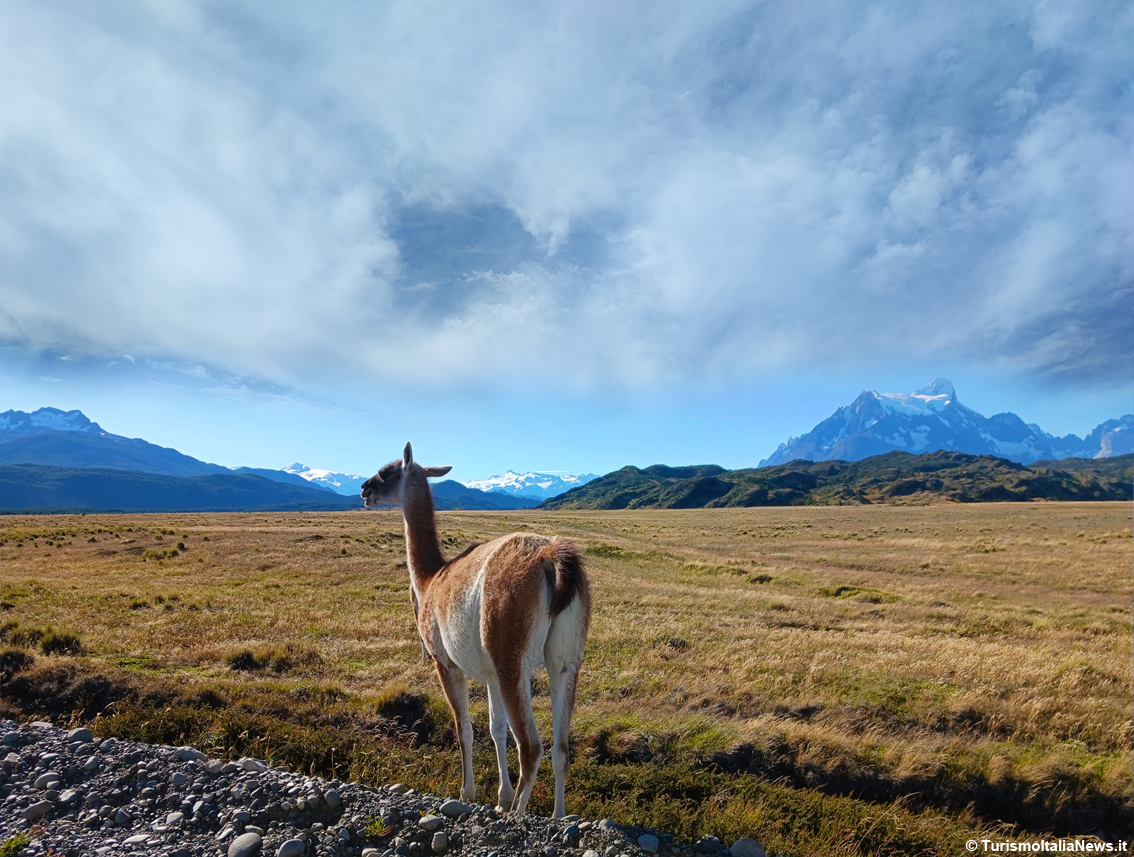 Parco Nazionale Torres del Paine, il bello del Cile è nella provincia di Última Esperanza, regione di Magellano e Antartide Cilena