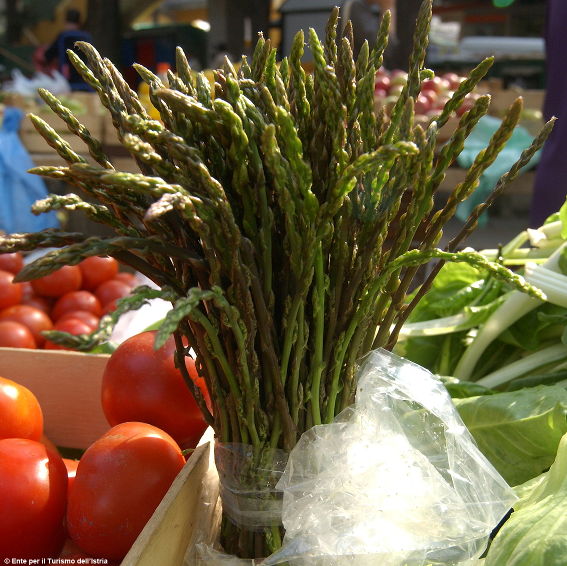images/stories/croazia/AsparagiSelvatici_MercatoPola.jpg