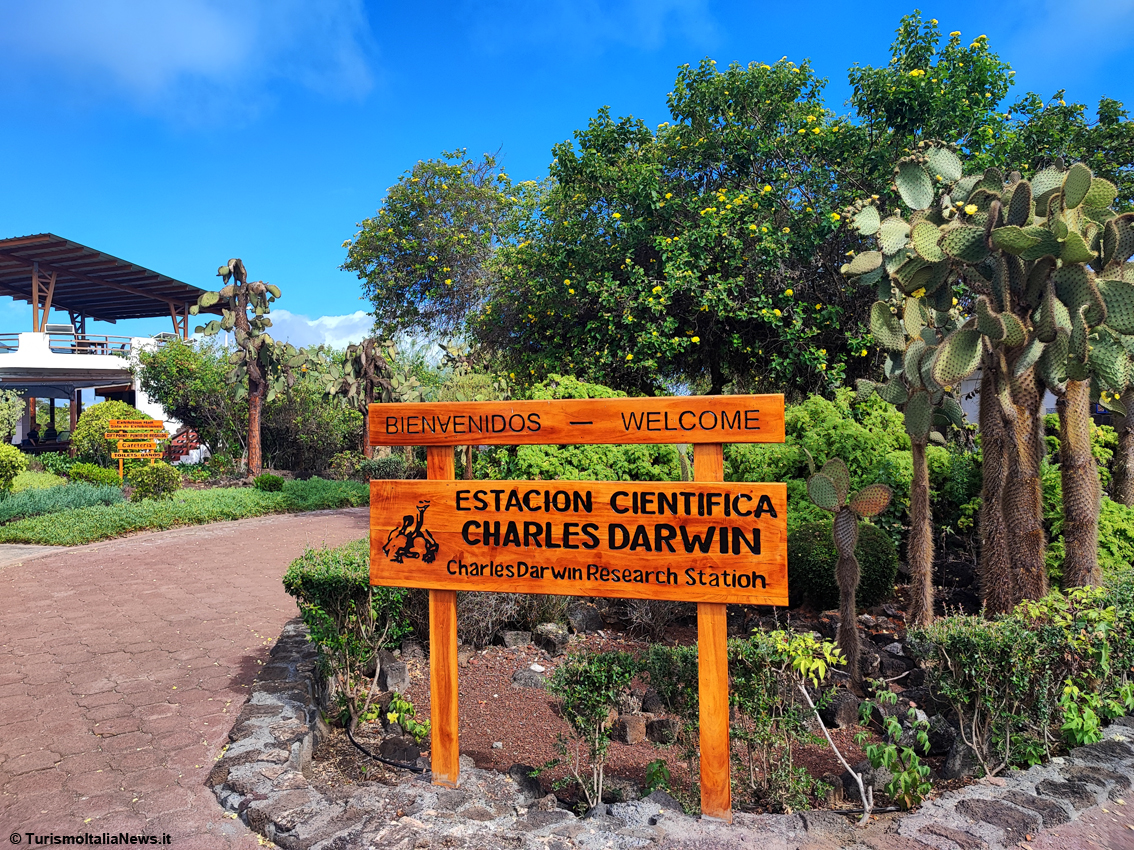 Charles Darwin Research Station: avventura nel regno delle tartarughe giganti, face-to-face con l’incredibile George il Solitario