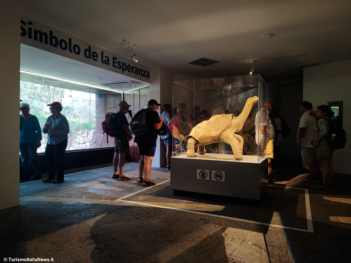 Charles Darwin Research Station: avventura nel regno delle tartarughe giganti, face-to-face con l’incredibile George il Solitario