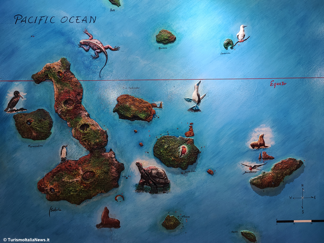 Charles Darwin Research Station: avventura nel regno delle tartarughe giganti, face-to-face con l’incredibile George il Solitario