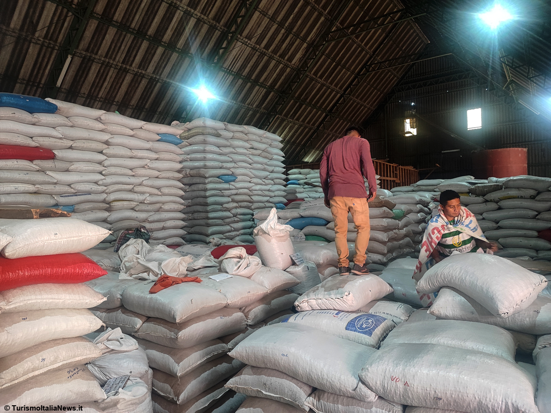 Il rito del caffè in El Salvador, viaggio nella Tenuta per scoprire i segreti della torrefazione della bevanda che fa tendenza