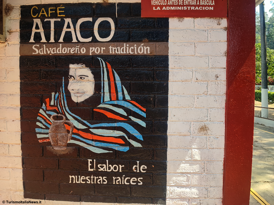 Il rito del caffè in El Salvador, viaggio nella Tenuta per scoprire i segreti della torrefazione della bevanda che fa tendenza