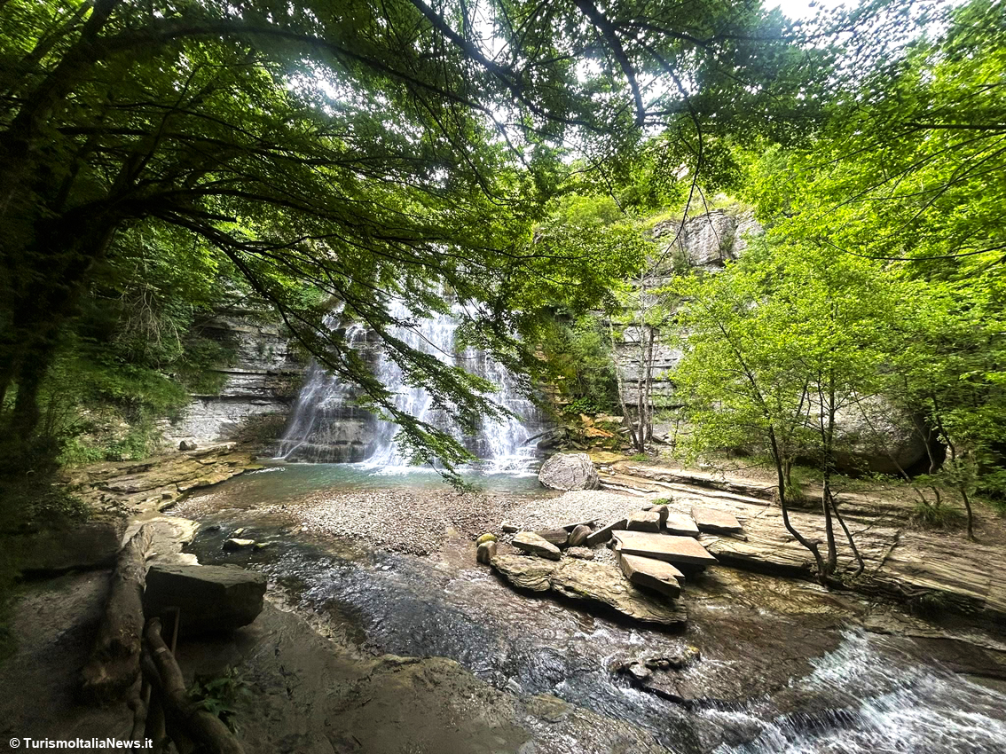 I giganti verdi dell’Appennino hanno finalmente un nome: viaggio tra gli alberi che custodiscono secoli di storia
