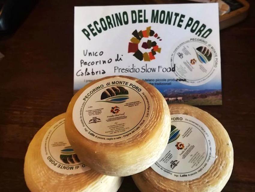C’è tutta la Calabria nel Pecorino del Monte Poro, il Dop della tradizione è ricercatissimo a tavola