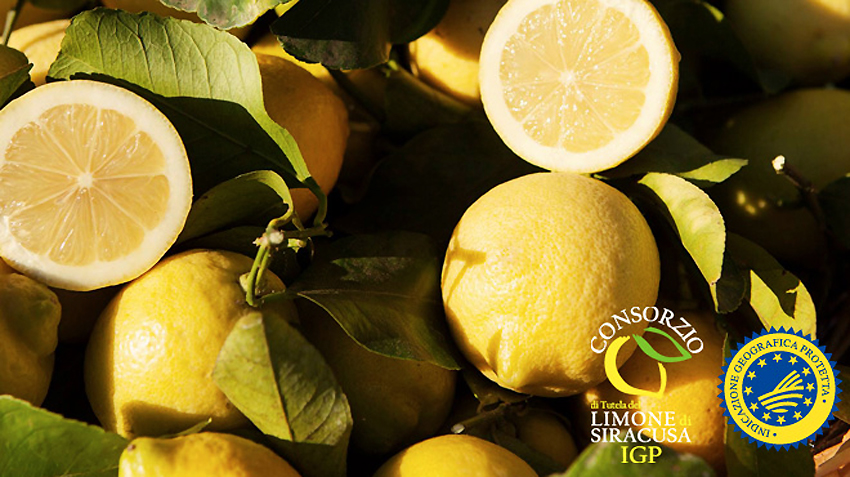 images/stories/enogastronomia/Limone_di_Siracusa_Igp_01.jpg