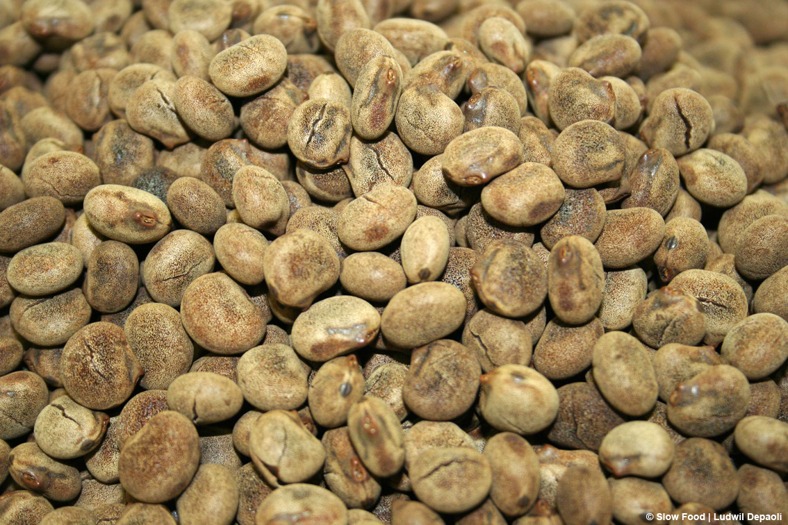 images/stories/enogastronomia/Lupino_di_Anterivo_PresidioSlowFood_01.jpg