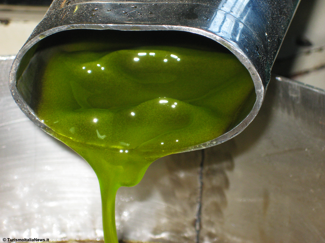 Agricoltura: i ricercatori Enea studiano la tracciabilità delle olive per verificare l’autenticità dell’olio extravergine 