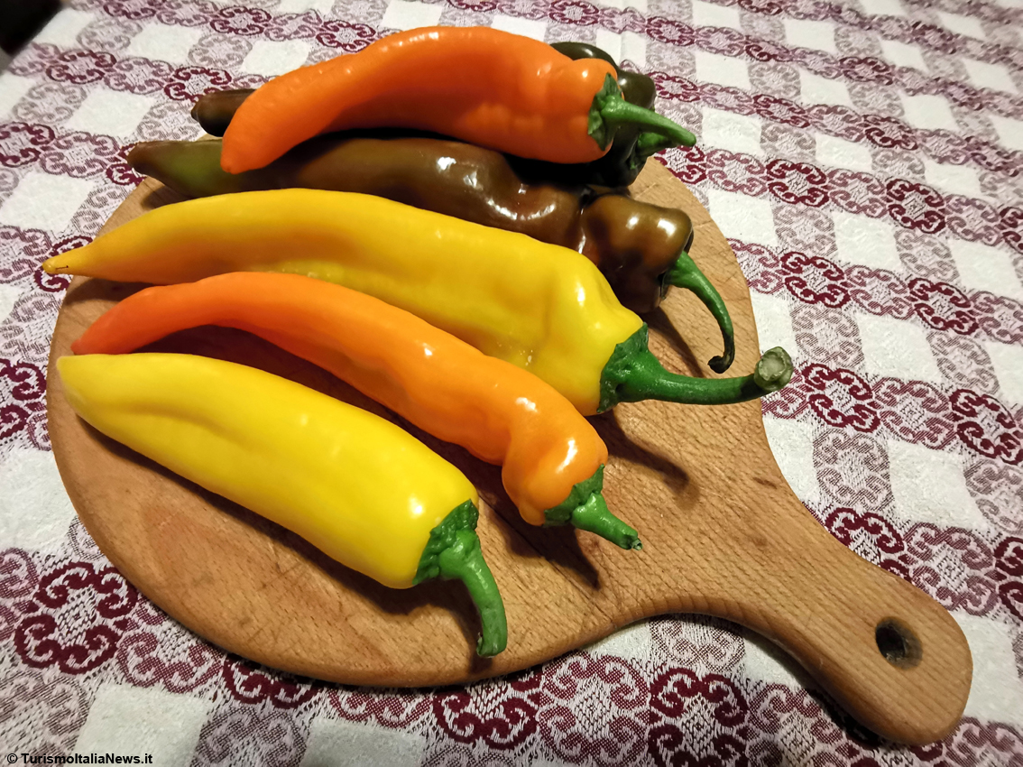 A Rieti c'è l’undicesima edizione della Fiera Mondiale Campionaria del Peperoncino 2022