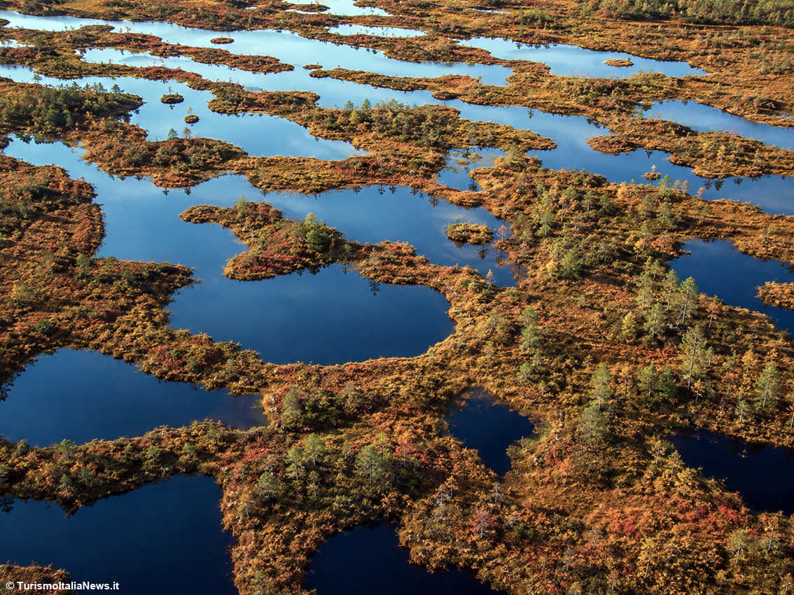 Estonia d’autunno, lo spettacolo del ruska: foreste d’oro e d’ambra, torbiere e antichi rituali del Nord