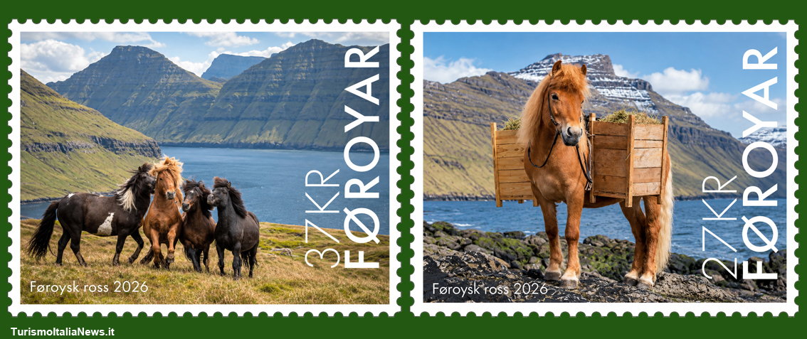 Il 26 giugno 2026 le Poste delle Isole Faroe hanno emesso due francobolli dedicati proprio a questo animale, trasformando due immagini della razza in altrettanti piccoli ambasciatori della sua storia e della sua conservazione
